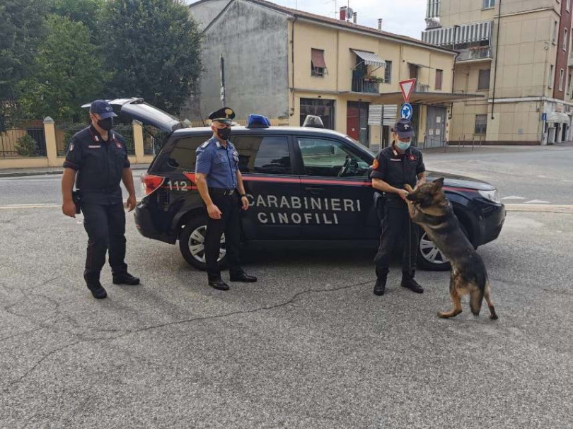 Operazioni antidroga dei Carabinieri